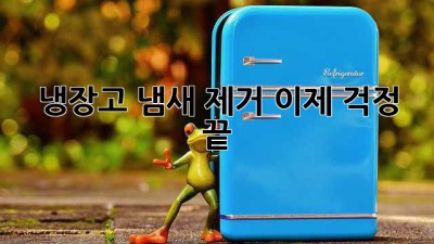 냉장고 냄새 제거, 이제 걱정 끝!